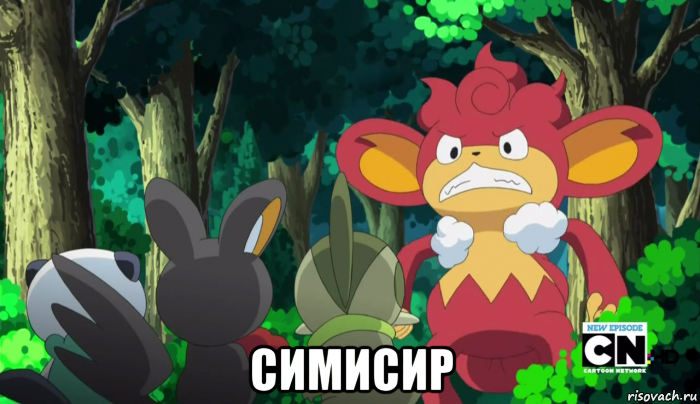  симисир, Мем SasHkasieg