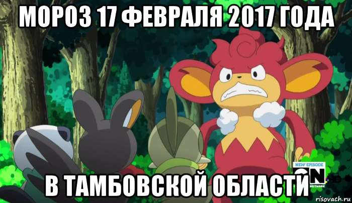 мороз 17 февраля 2017 года в тамбовской области, Мем SasHkasieg