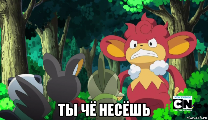  ты чё несёшь, Мем SasHkasieg