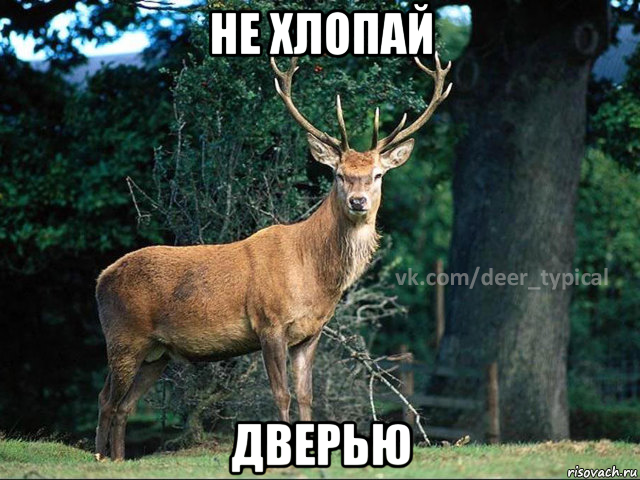 не хлопай дверью