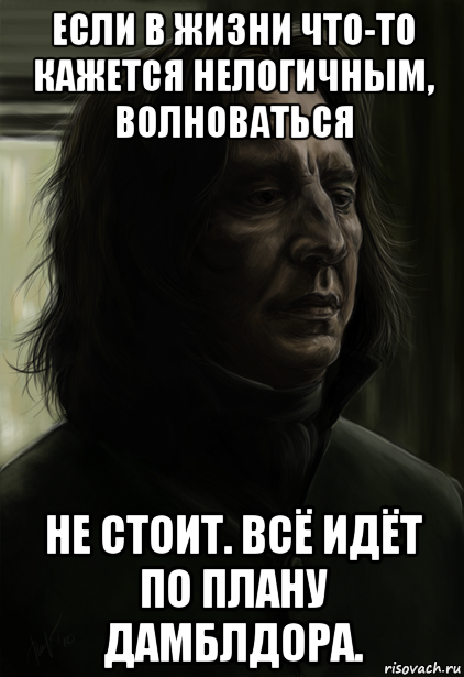 если в жизни что-то кажется нелогичным, волноваться не стоит. всё идёт по плану дамблдора.