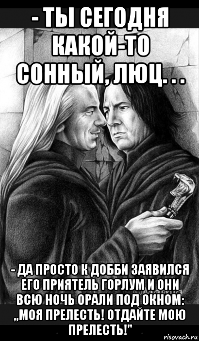 - ты сегодня какой-то сонный, люц. . . - да просто к добби заявился его приятель горлум и они всю ночь орали под окном: ,,моя прелесть! отдайте мою прелесть!''