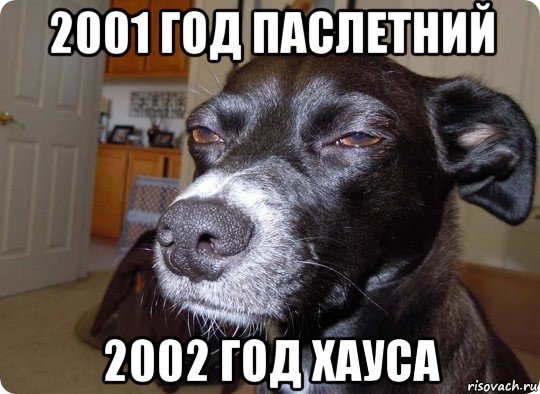 2001 год паслетний 2002 год хауса, Мем  Собака подозревака