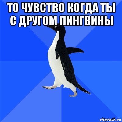 то чувство когда ты с другом пингвины , Мем  Социально-неуклюжий пингвин