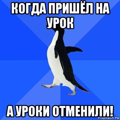 когда пришёл на урок а уроки отменили!, Мем  Социально-неуклюжий пингвин