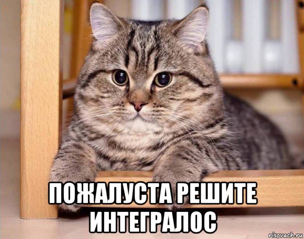  пожалуста решите интегралос