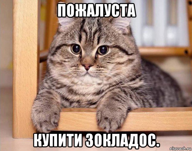пожалуста купити зокладос.