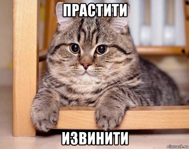 прастити извинити
