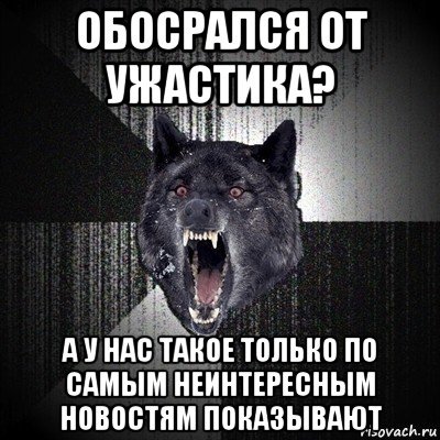 обосрался от ужастика? а у нас такое только по самым неинтересным новостям показывают, Мем Сумасшедший волк