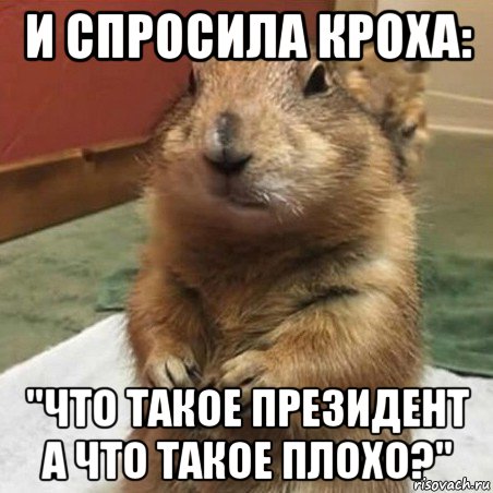 и спросила кроха: "что такое президент а что такое плохо?", Мем Суслик спрашивает