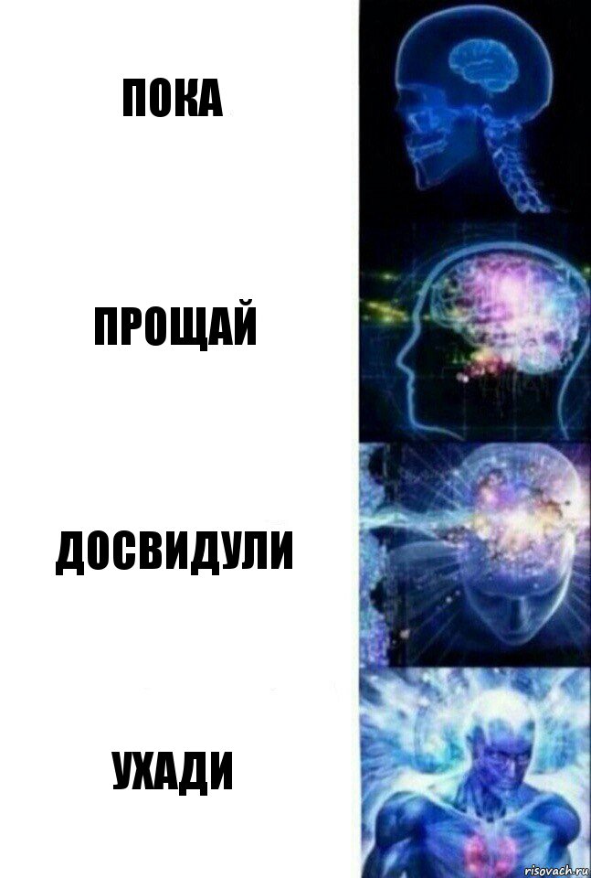 ПОКА ПРОЩАЙ ДОСВИДУЛИ УХАДИ