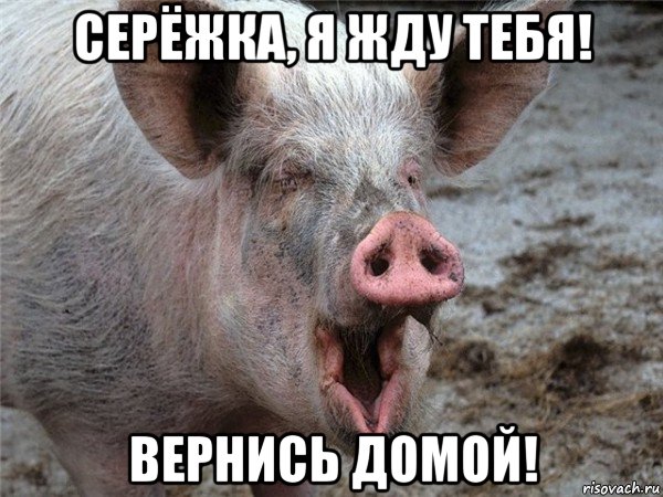 серёжка, я жду тебя! вернись домой!