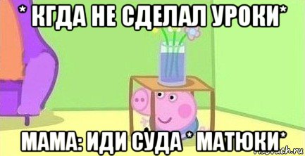 * кгда не сделал уроки* мама: иди суда * матюки*