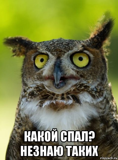  какой спал? незнаю таких