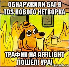 обнаружили баг в tds нового нетворка трафик на affilight пошел! ура!