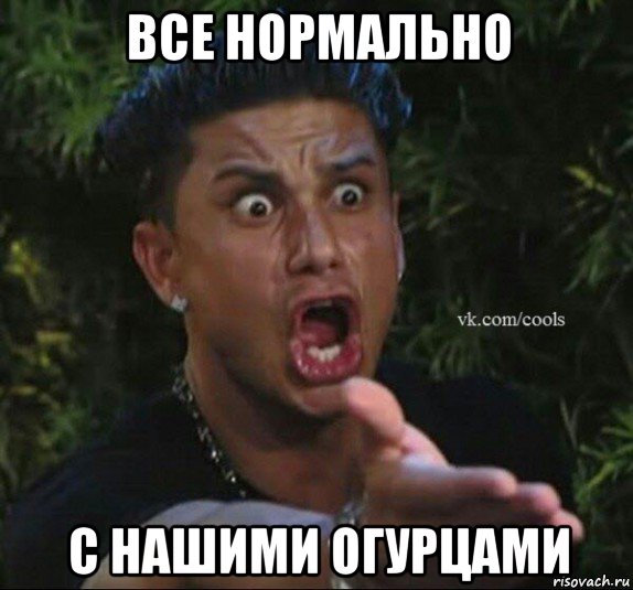 все нормально с нашими огурцами