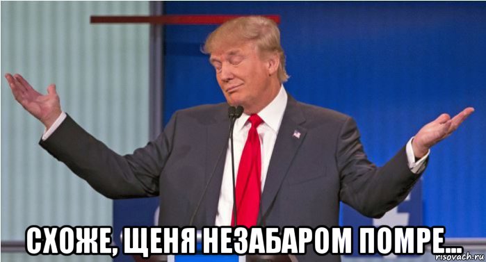  схоже, щеня незабаром помре...