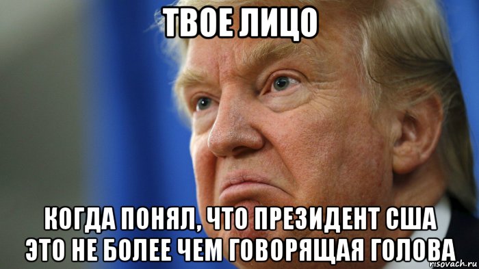 твое лицо когда понял, что президент сша это не более чем говорящая голова