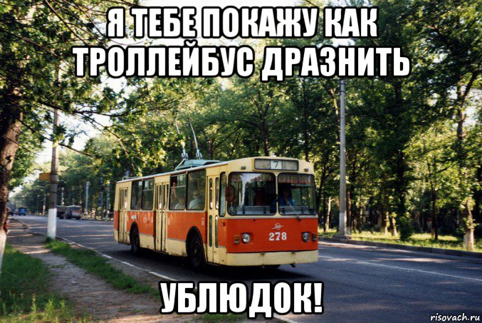 я тебе покажу как троллейбус дразнить ублюдок!, Мем Троллейбус 9