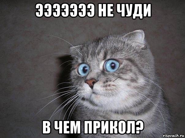 эээээээ не чуди в чем прикол?, Мем  удивлённый кот