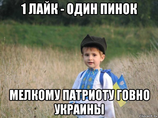 1 лайк - один пинок мелкому патриоту говно украины, Мем Украина - Единая