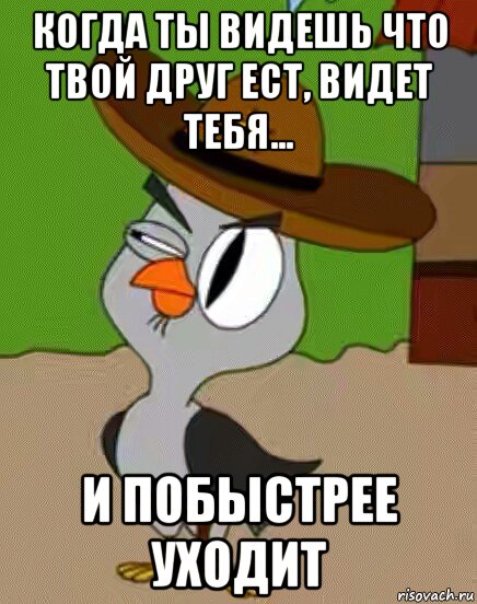 когда ты видешь что твой друг ест, видет тебя... и побыстрее уходит, Мем    Упоротая сова