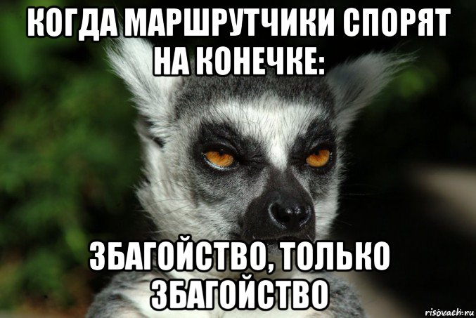 когда маршрутчики спорят на конечке: збагойство, только збагойство, Мем   Я збагоен