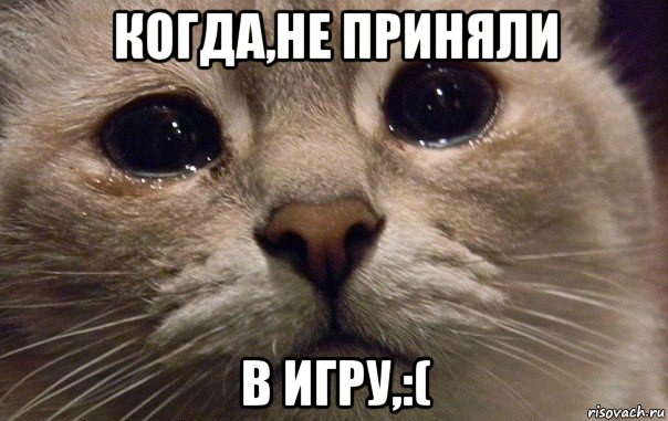 когда,не приняли в игру,:(, Мем   В мире грустит один котик