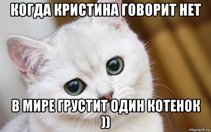 когда кристина говорит нет в мире грустит один котенок )), Мем  В мире грустит один котик