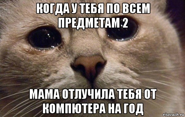 когда у тебя по всем предметам 2 мама отлучила тебя от компютера на год, Мем   В мире грустит один котик