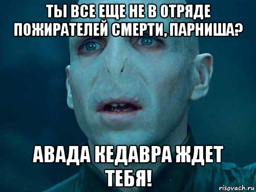 ты все еще не в отряде пожирателей смерти, парниша? авада кедавра ждет тебя!