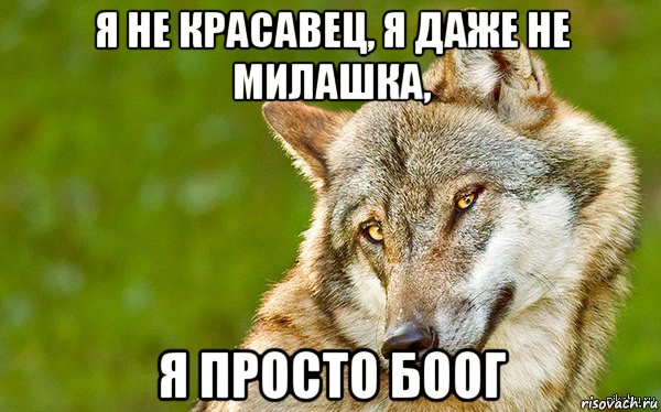 я не красавец, я даже не милашка, я просто боог, Мем   Volf