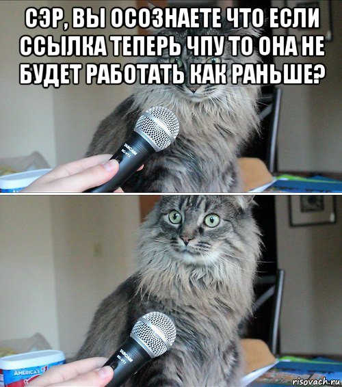 сэр, вы осознаете что если ссылка теперь чпу то она не будет работать как раньше? 