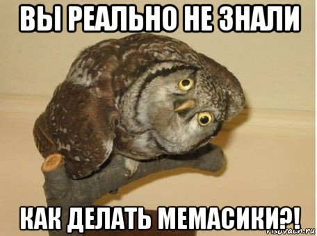 вы реально не знали как делать мемасики?!