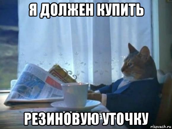 я должен купить резиновую уточку