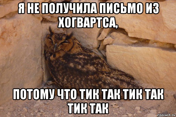 я не получила письмо из хогвартса, потому что тик так тик так тик так