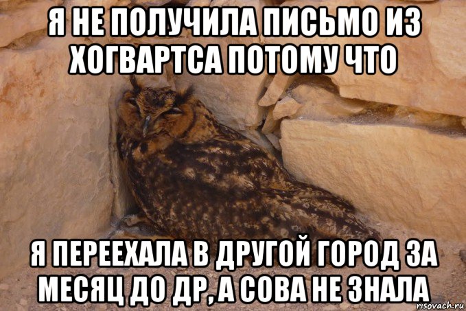 я не получила письмо из хогвартса потому что я переехала в другой город за месяц до др, а сова не знала