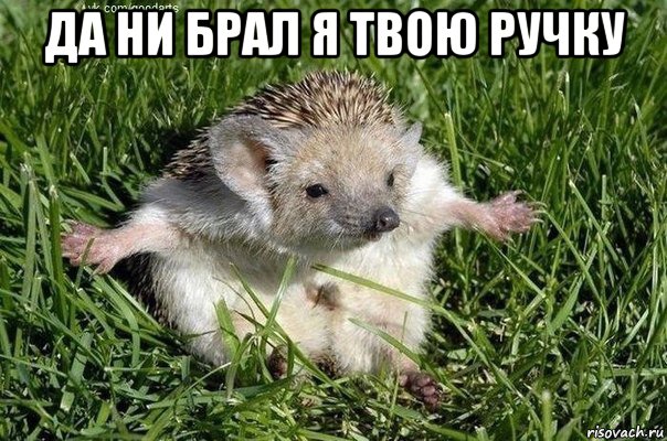 да ни брал я твою ручку 
