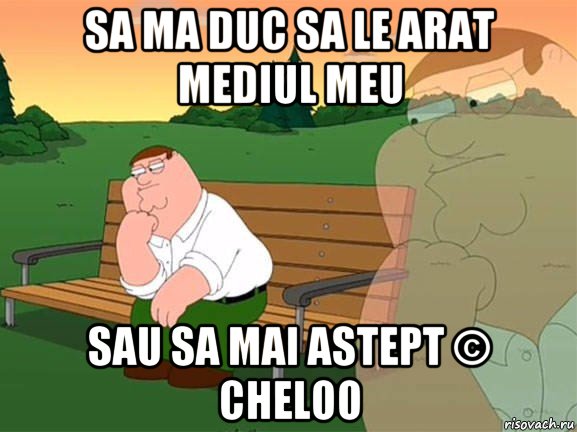 sa ma duc sa le arat mediul meu sau sa mai astept © cheloo, Мем Задумчивый Гриффин