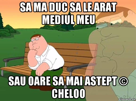 sa ma duc sa le arat mediul meu sau oare sa mai astept © cheloo, Мем Задумчивый Гриффин