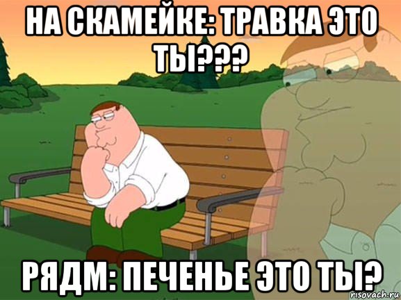 на скамейке: травка это ты??? рядм: печенье это ты?, Мем Задумчивый Гриффин