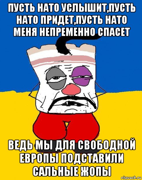 пусть нато услышит,пусть нато придет,пусть нато меня непременно спасет ведь мы для свободной европы подставили сальные жопы, Мем Западенец - тухлое сало