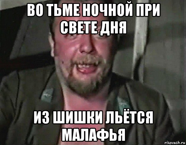 во тьме ночной при свете дня из шишки льётся малафья