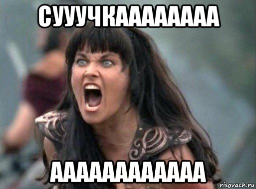 сууучкаааааааа аааааааааааа, Мем Зена