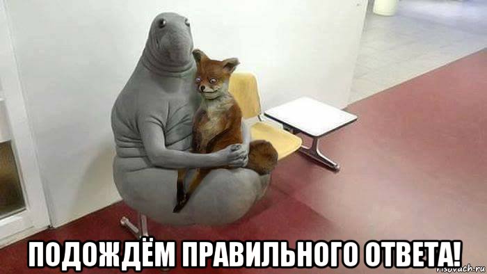  подождём правильного ответа!