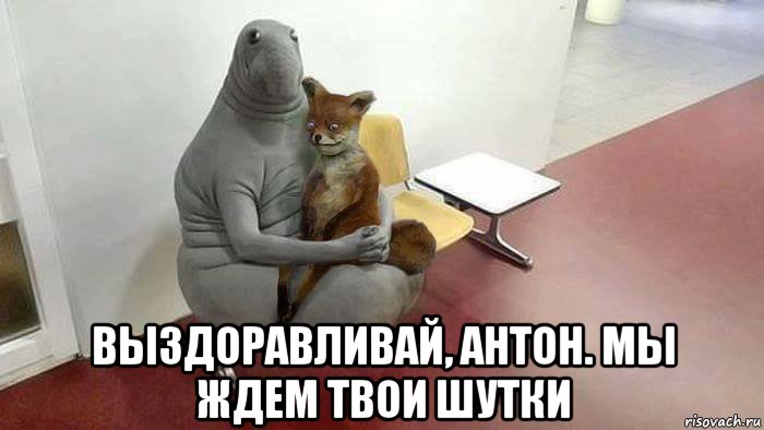  выздоравливай, антон. мы ждем твои шутки