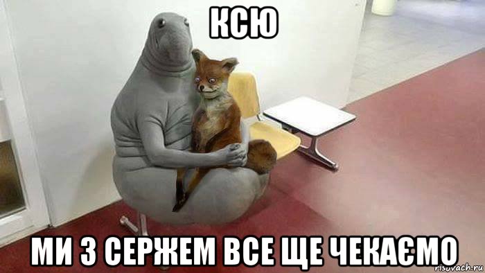 ксю ми з сержем все ще чекаємо