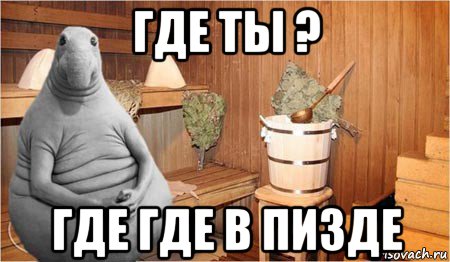 где ты ? где где в пизде