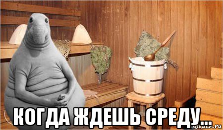  когда ждешь среду...