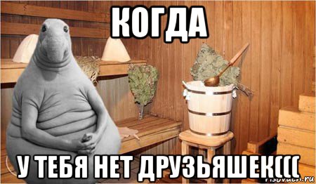 когда у тебя нет друзьяшек(((